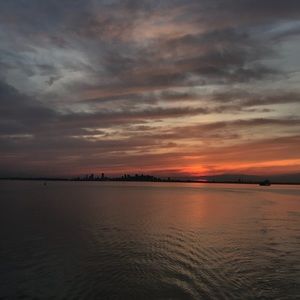 Meet your Posher, Daniela